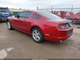 Ford Mustang V6 - 9700 € / 18971.55 лв. - 94544434 4
