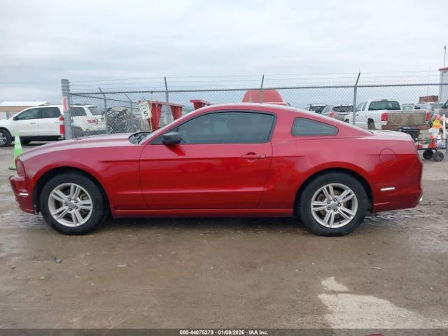 Ford Mustang V6 - изображение 8