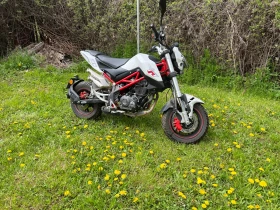 Обява за продажба на Benelli Tornado T-125 ~4 200 лв. - изображение 4