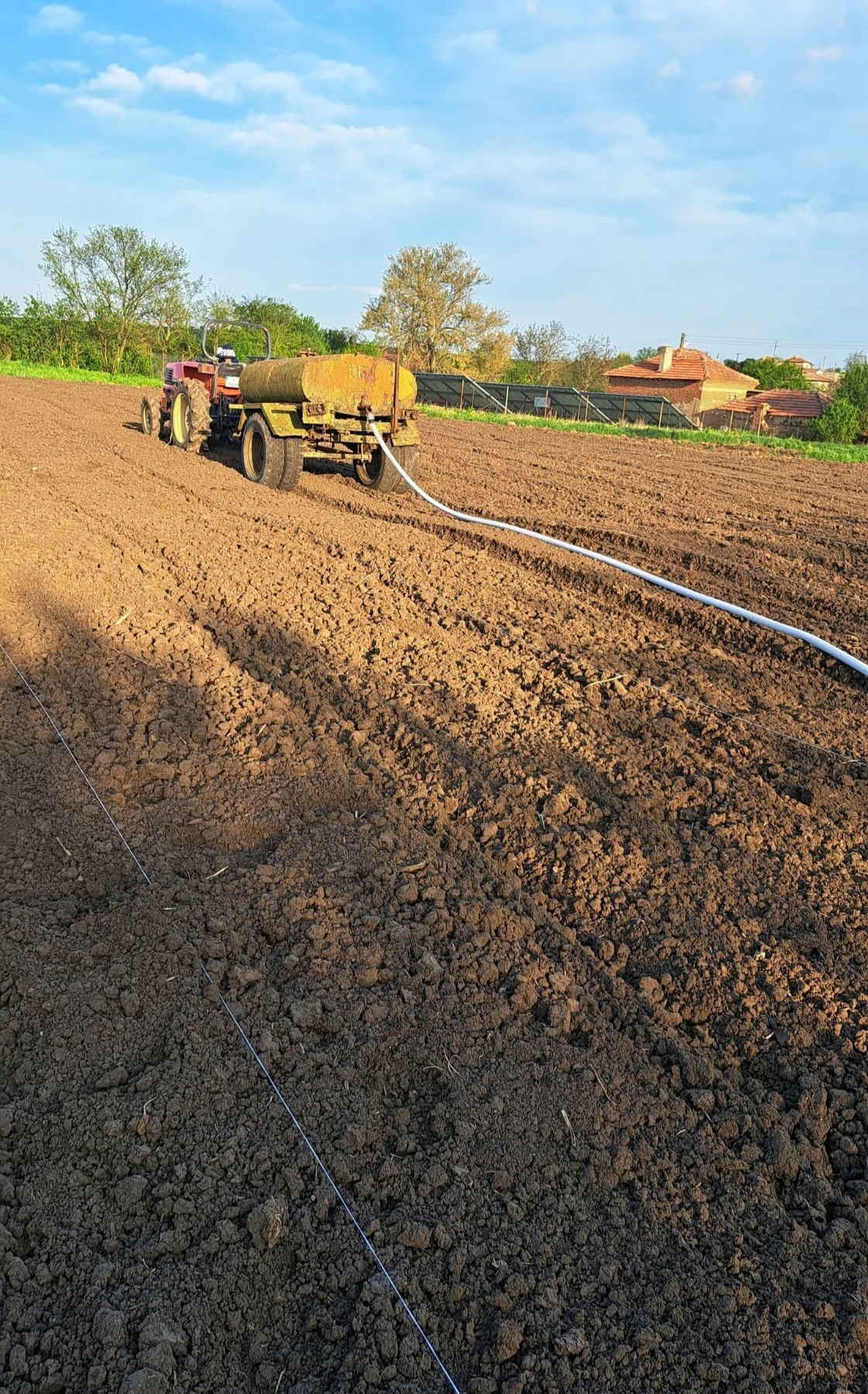 Трактор Kubota Grandel Especial GL320 - изображение 8