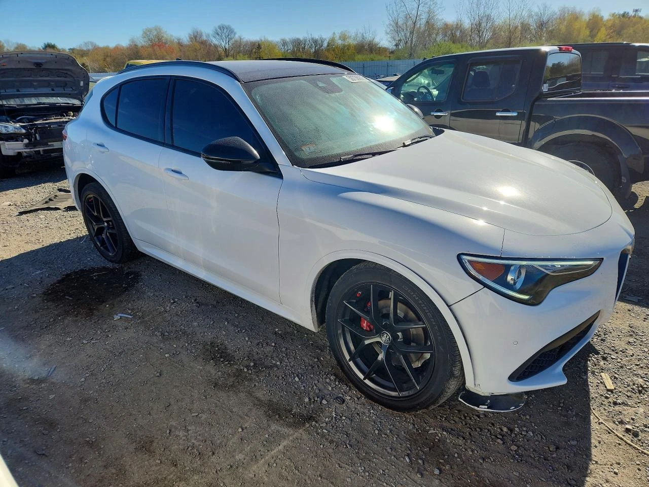 Alfa Romeo Stelvio 2.0l Ti, снимка 4 - Автомобили и джипове - 54732084