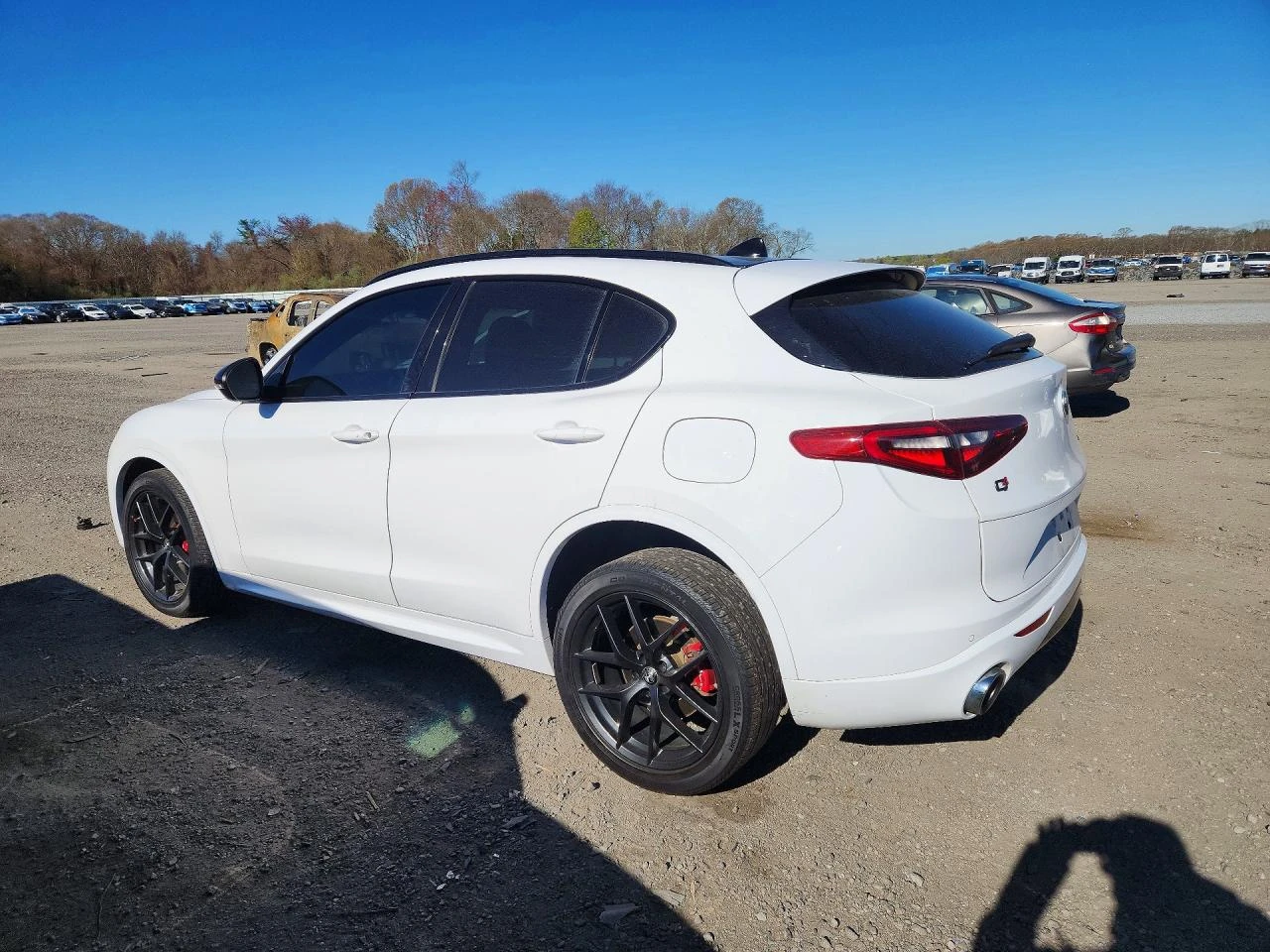 Alfa Romeo Stelvio 2.0l Ti, снимка 2 - Автомобили и джипове - 54732084