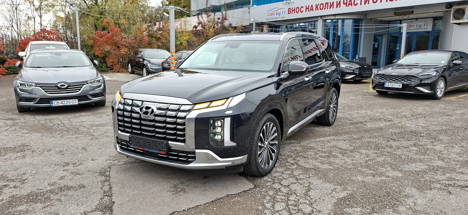 Hyundai Palisade VIP