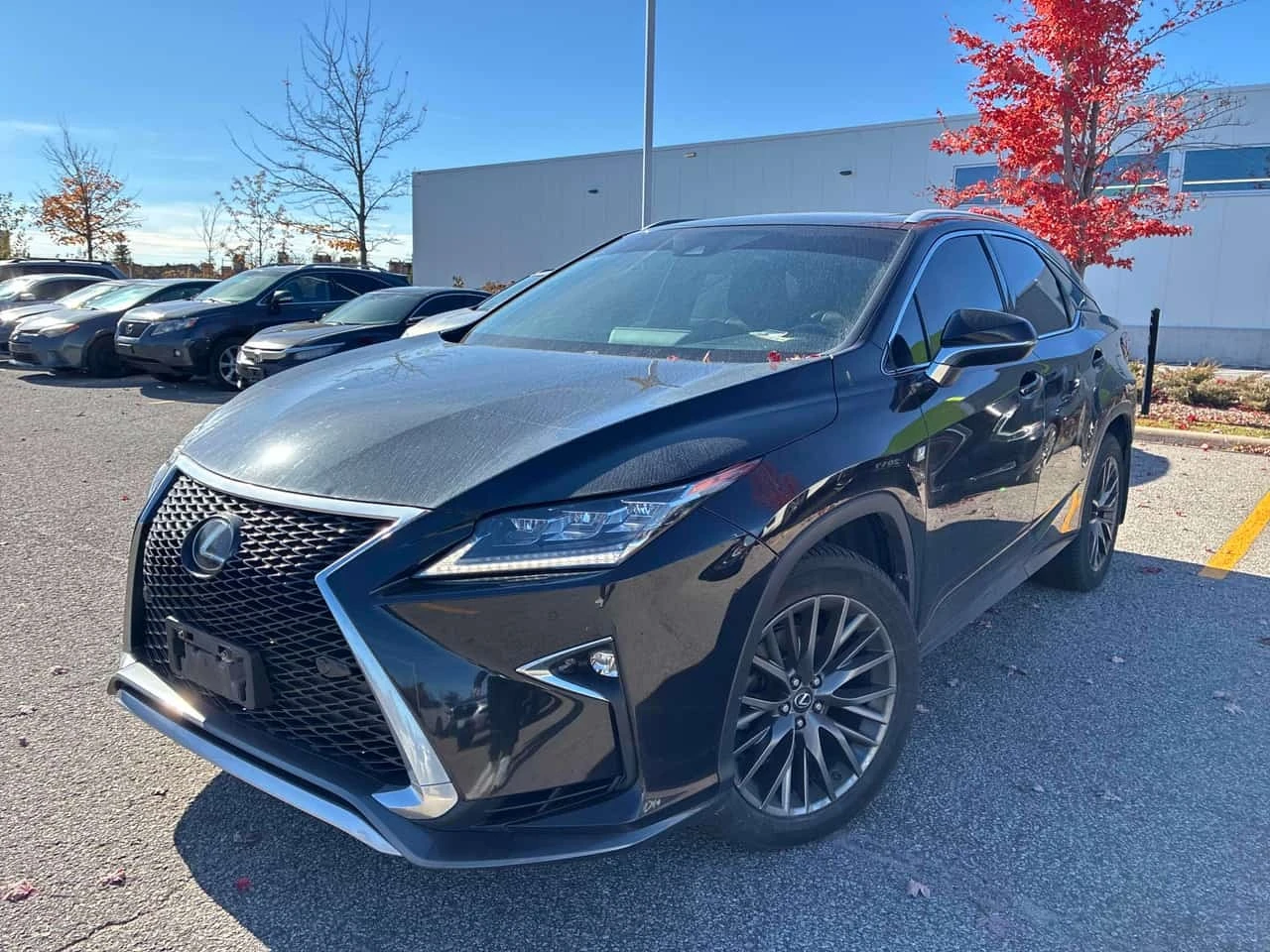 Lexus RX 350 ОТ ПРЕДСТАВИТЕЛСТВО/ДИСТРОНИК/ОБДУХ/КЛИП