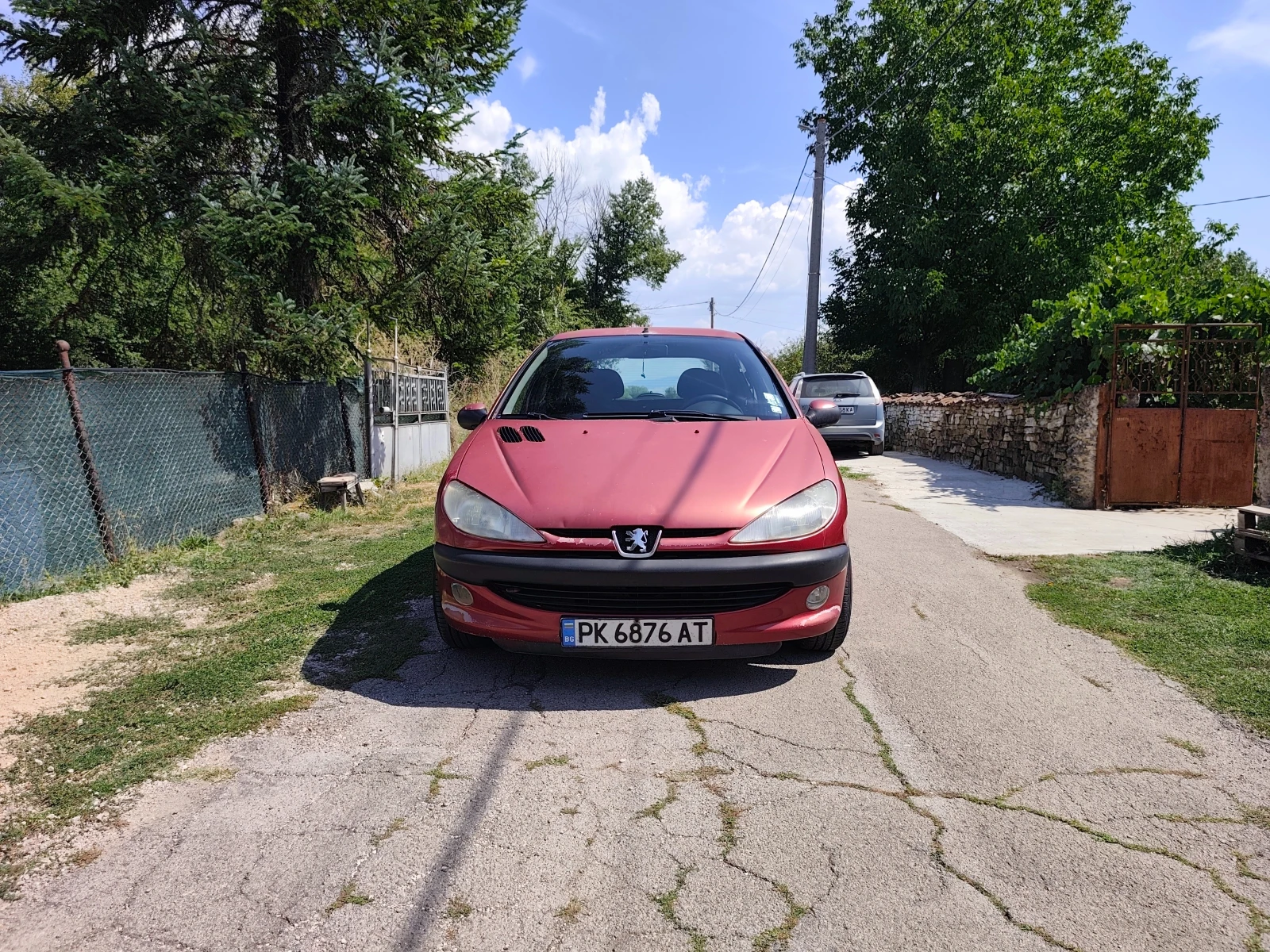 Peugeot 206 1.9D - изображение 2