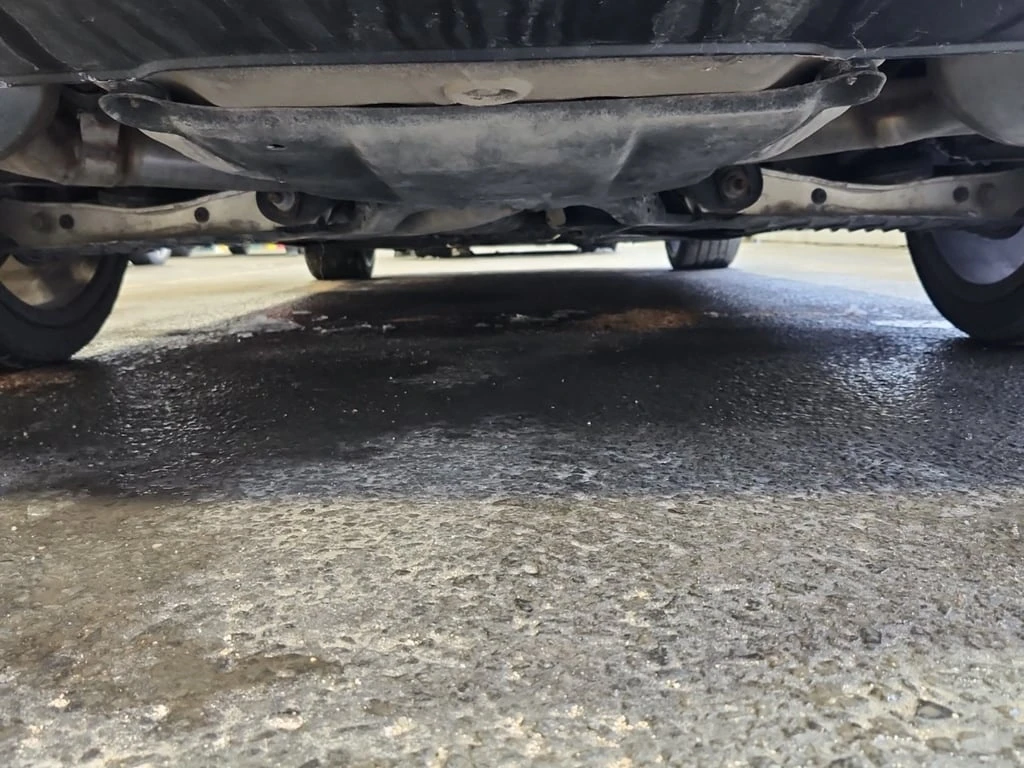 Audi S5 * PROGRESSIV * CARFAX * ��� ������������ ������ | Mobile.bg � ����������� 16