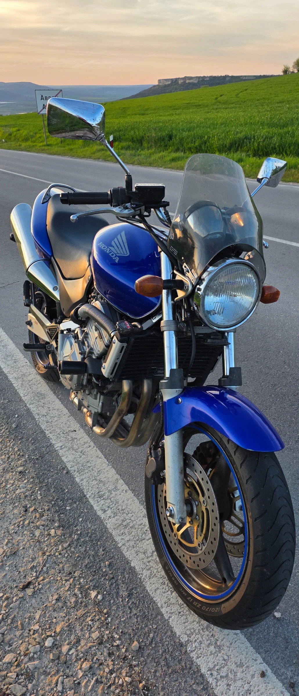 Honda Hornet