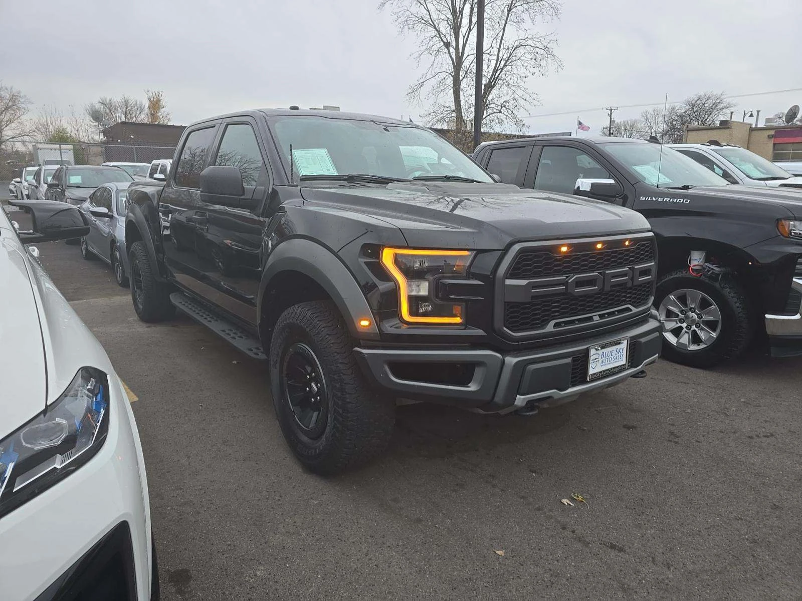 Ford F150  Raptor Crew Cab Short Bed - изображение 2