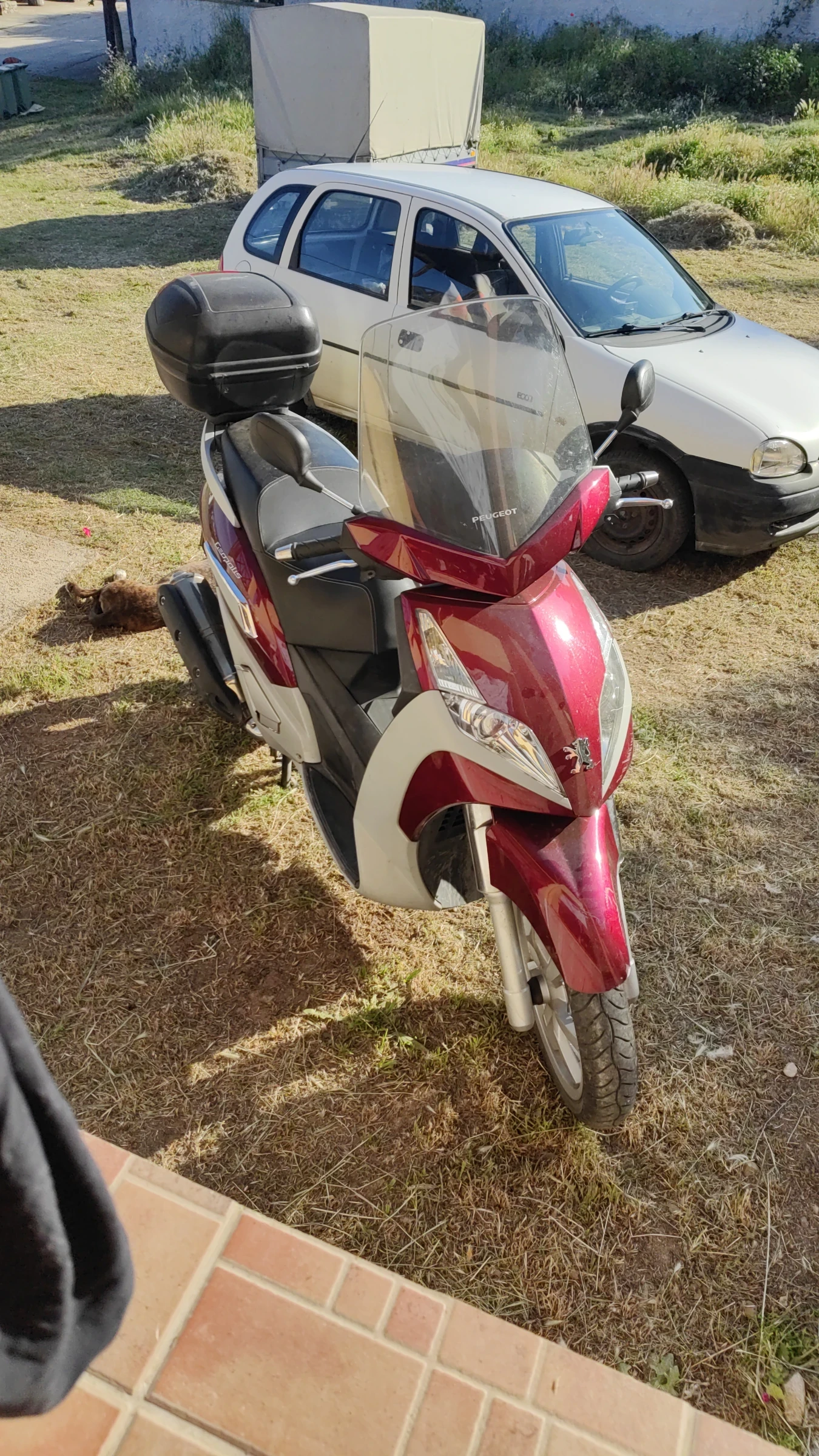 Peugeot Geopolis 400см3