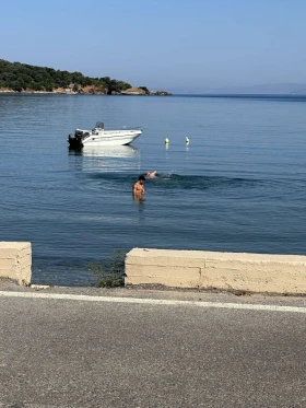 ����� Mingolla Yoling 15 | Mobile.bg � ����� ������ 8