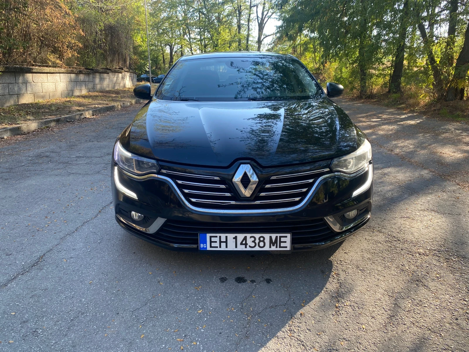 Renault Talisman 1.6dci - изображение 3