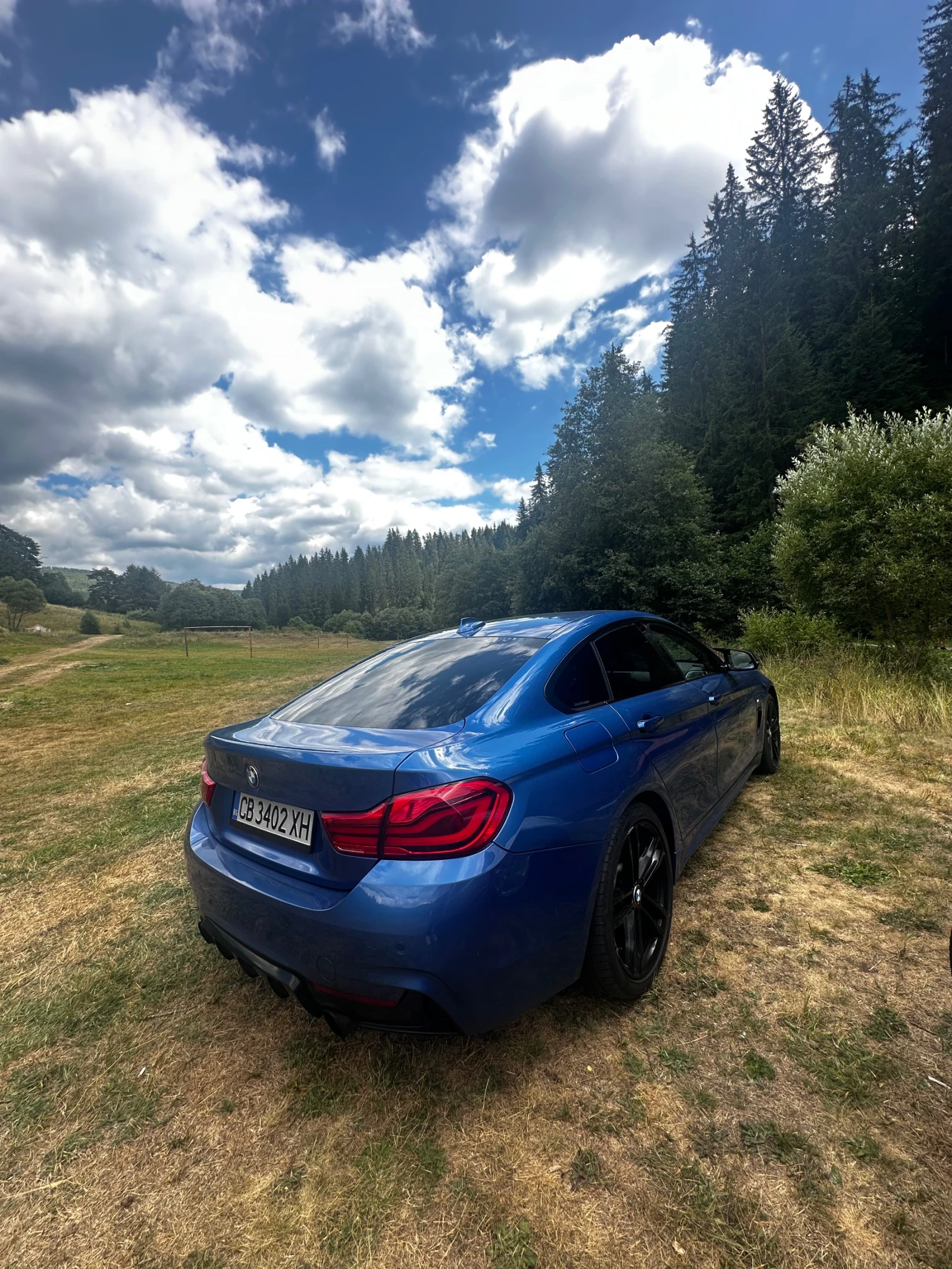 BMW 420, снимка 3 - Автомобили и джипове - 55195788
