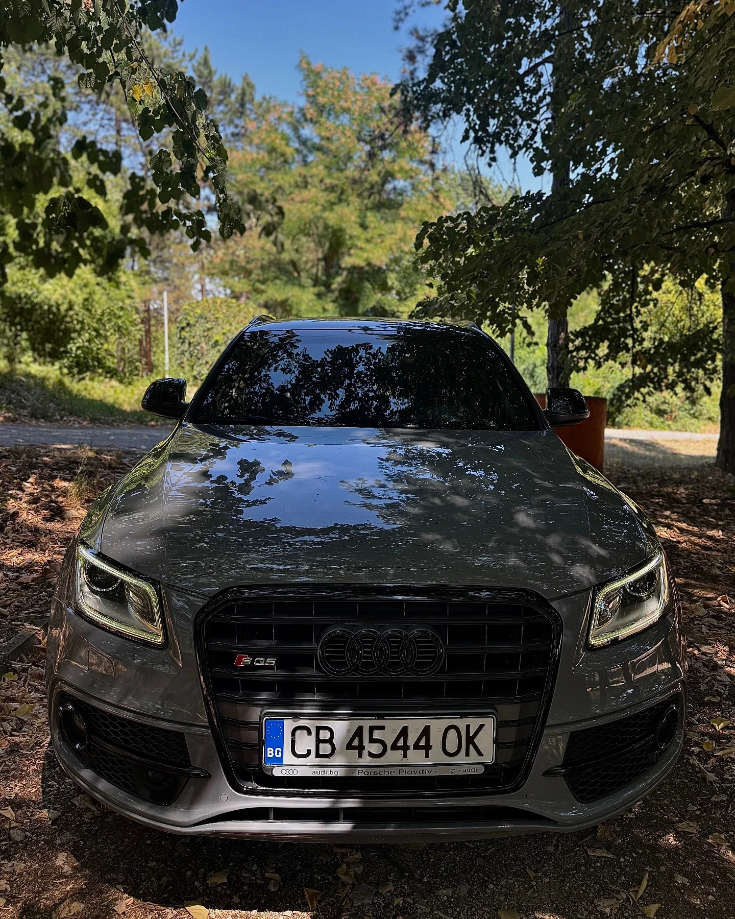 Audi SQ5  3.0 TDI QUATTRO