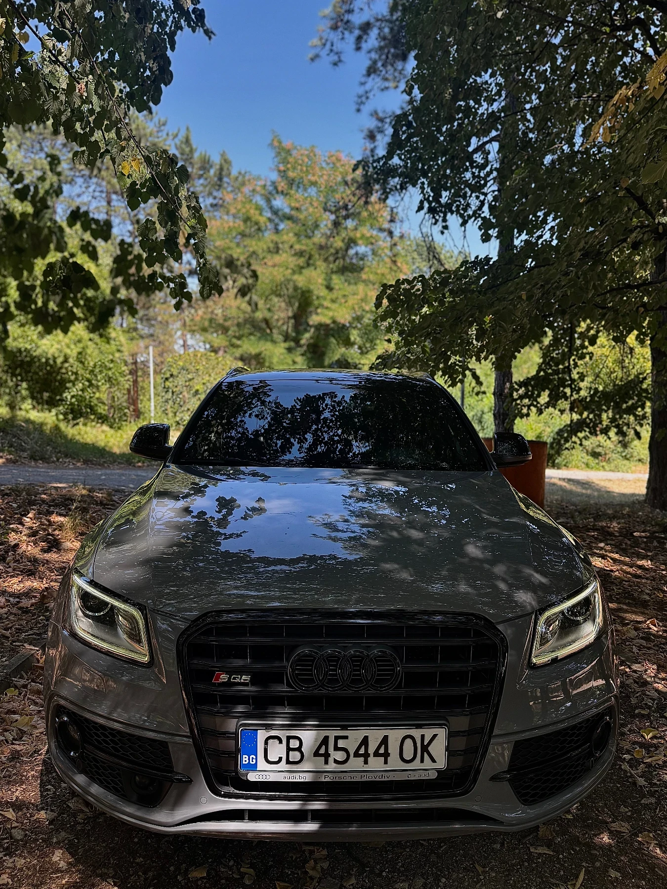 Audi SQ5  3.0 TDI QUATTRO, снимка 2 - Автомобили и джипове - 55627926