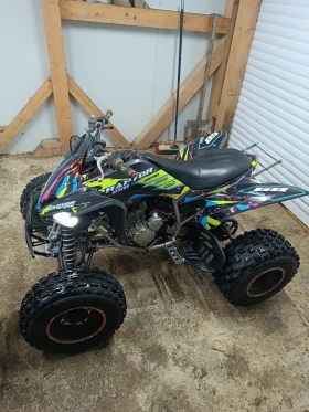 Yamaha Raptor 250 2010, снимка 6