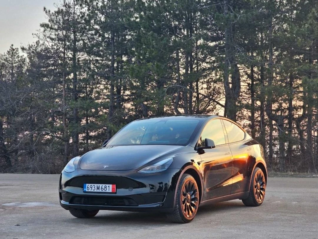 Tesla Model Y Long Range 4x4 EU | Mobile.bg — изображение 1