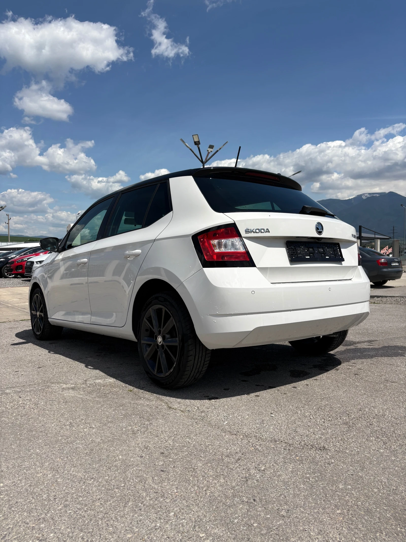 Skoda Fabia, снимка 3 - Автомобили и джипове - 54030994