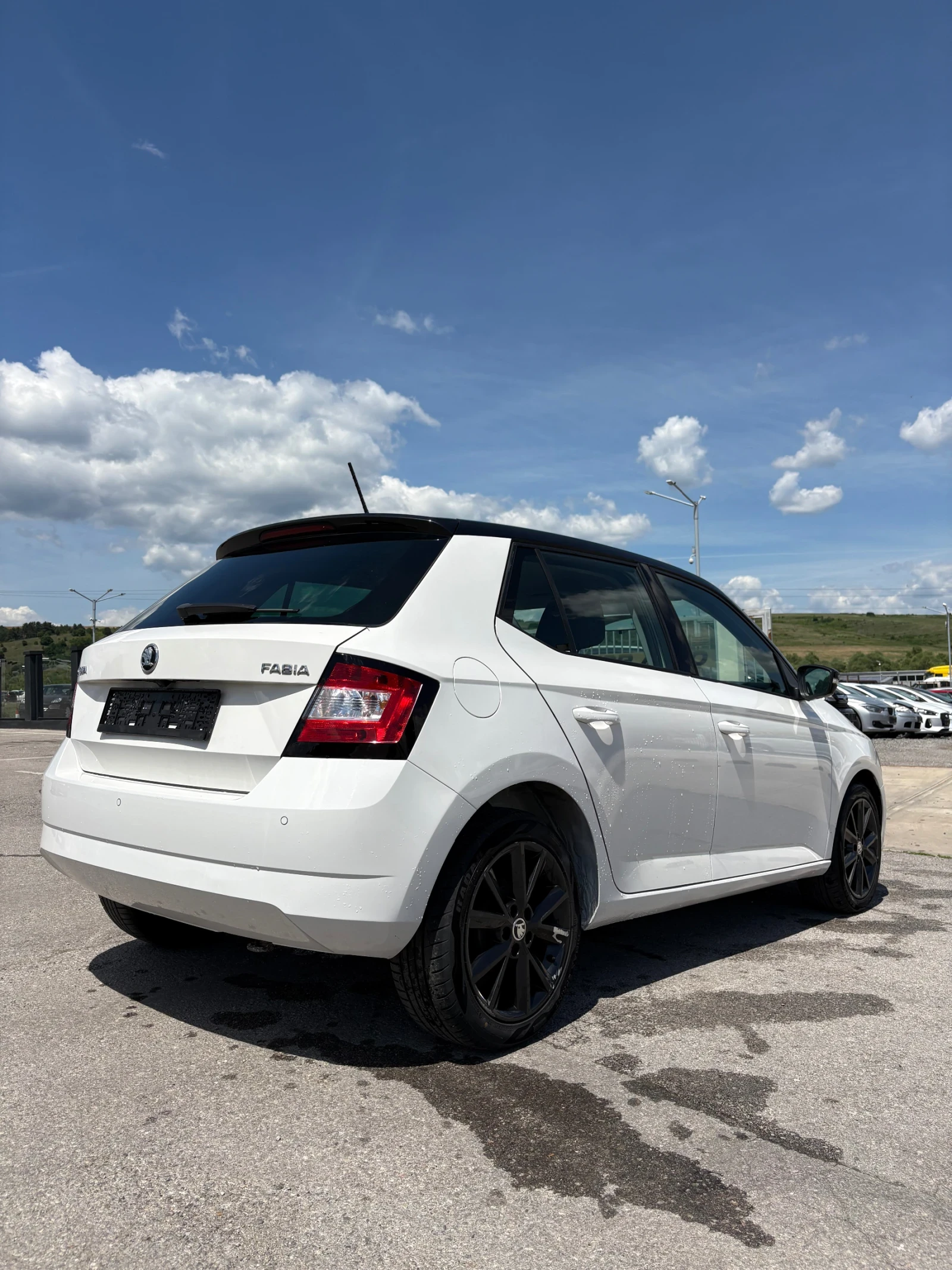 Skoda Fabia, снимка 4 - Автомобили и джипове - 54030994