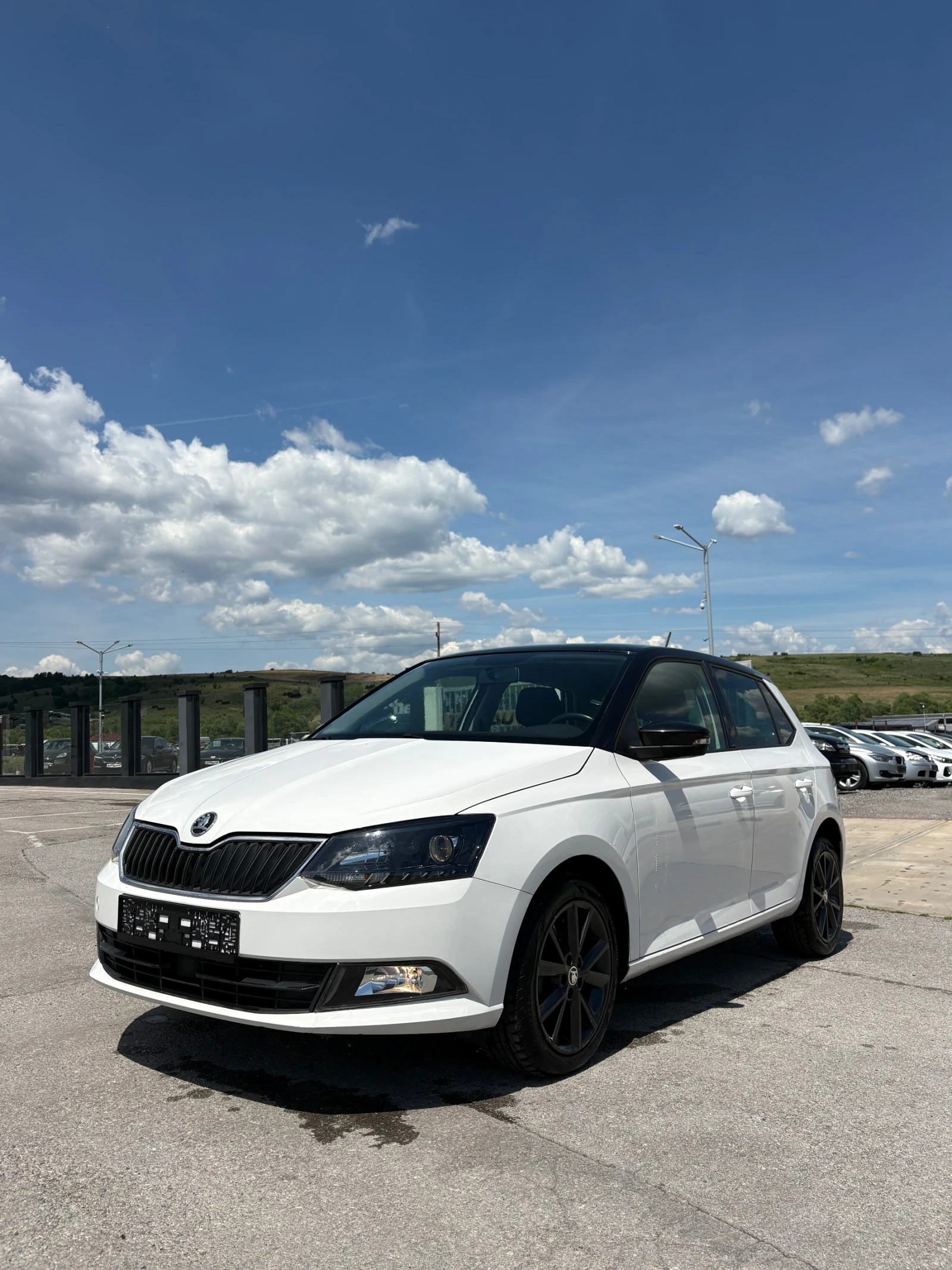 Skoda Fabia, снимка 2 - Автомобили и джипове - 54030994