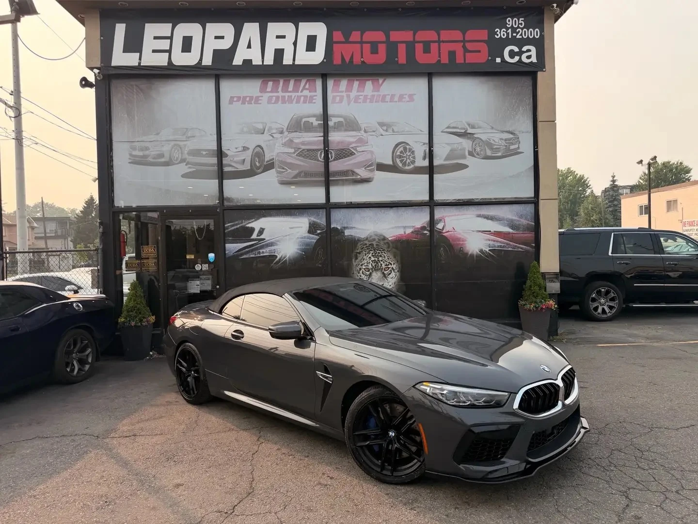 BMW M8 Premium PKG ���� �� �������� ���������� | Mobile.bg � ����������� 1
