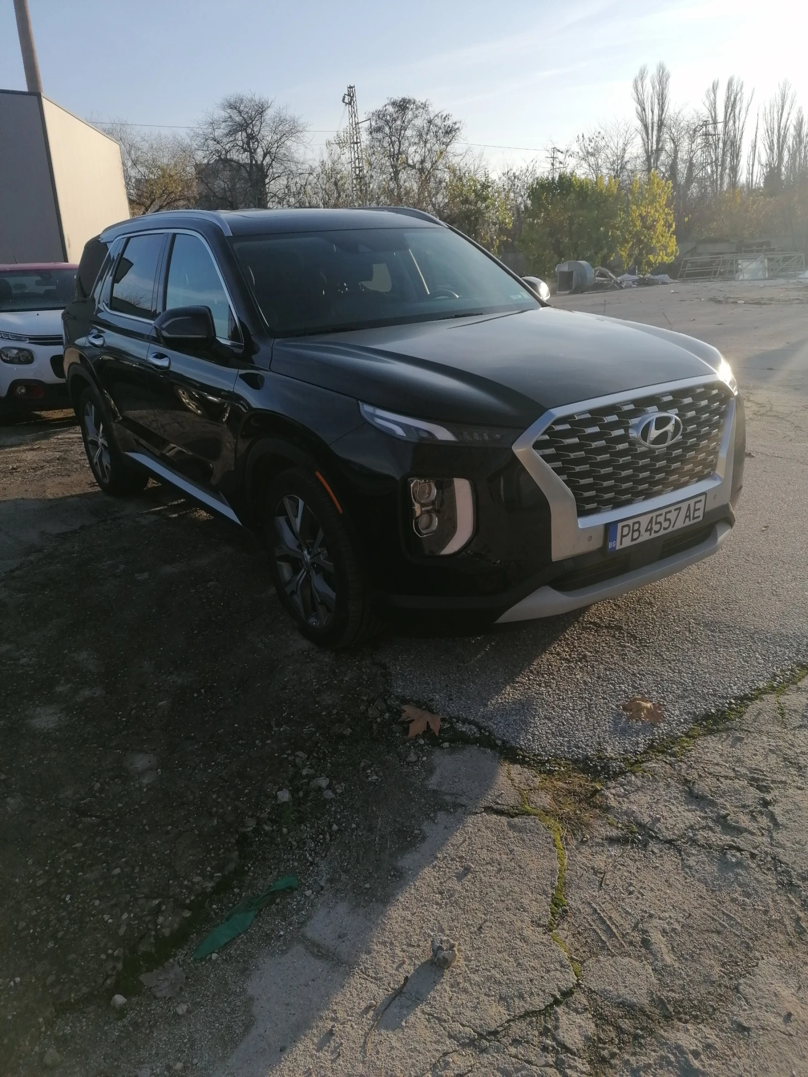 Hyundai Palisade Limited, снимка 1