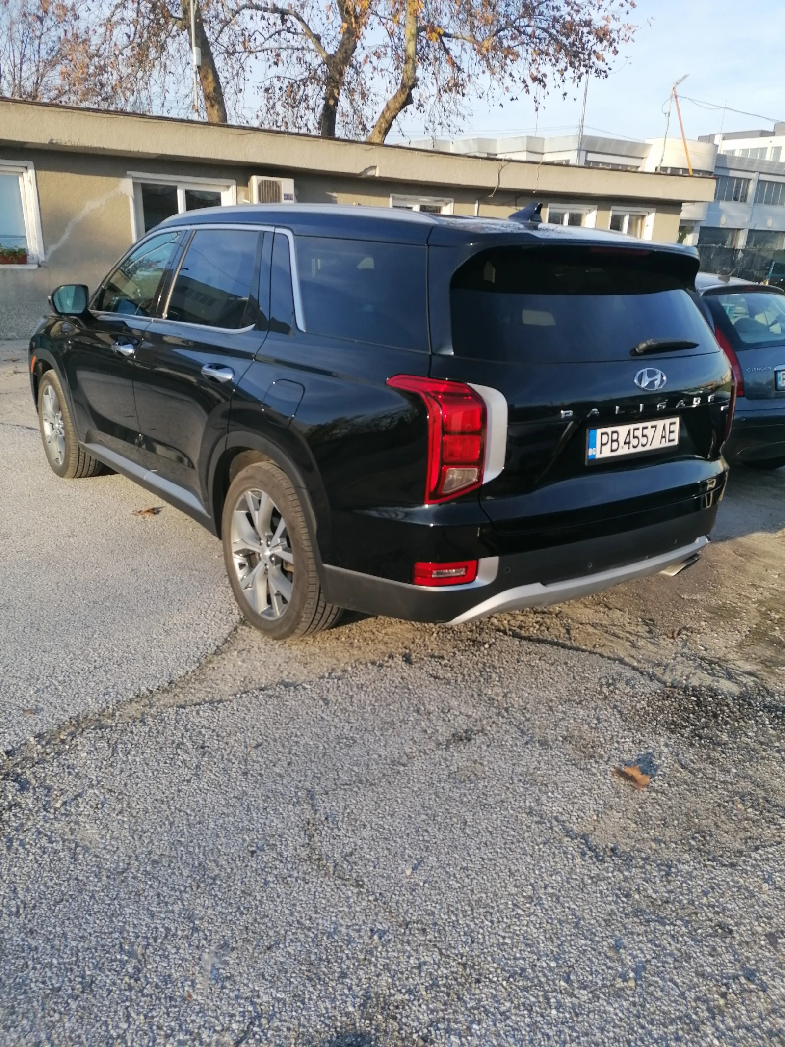 Hyundai Palisade Limited - изображение 5