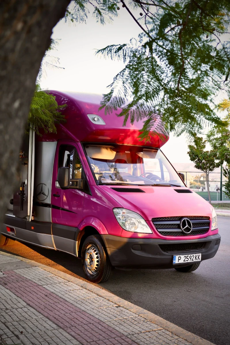 Кемпер Mercedes-Benz 316