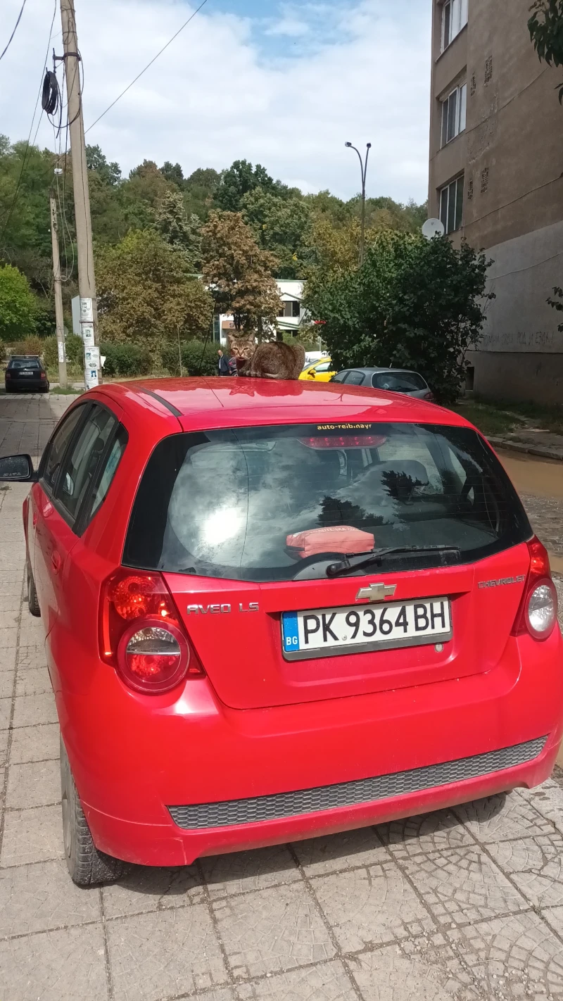 Chevrolet Aveo, снимка 1 - Автомобили и джипове - 47692786