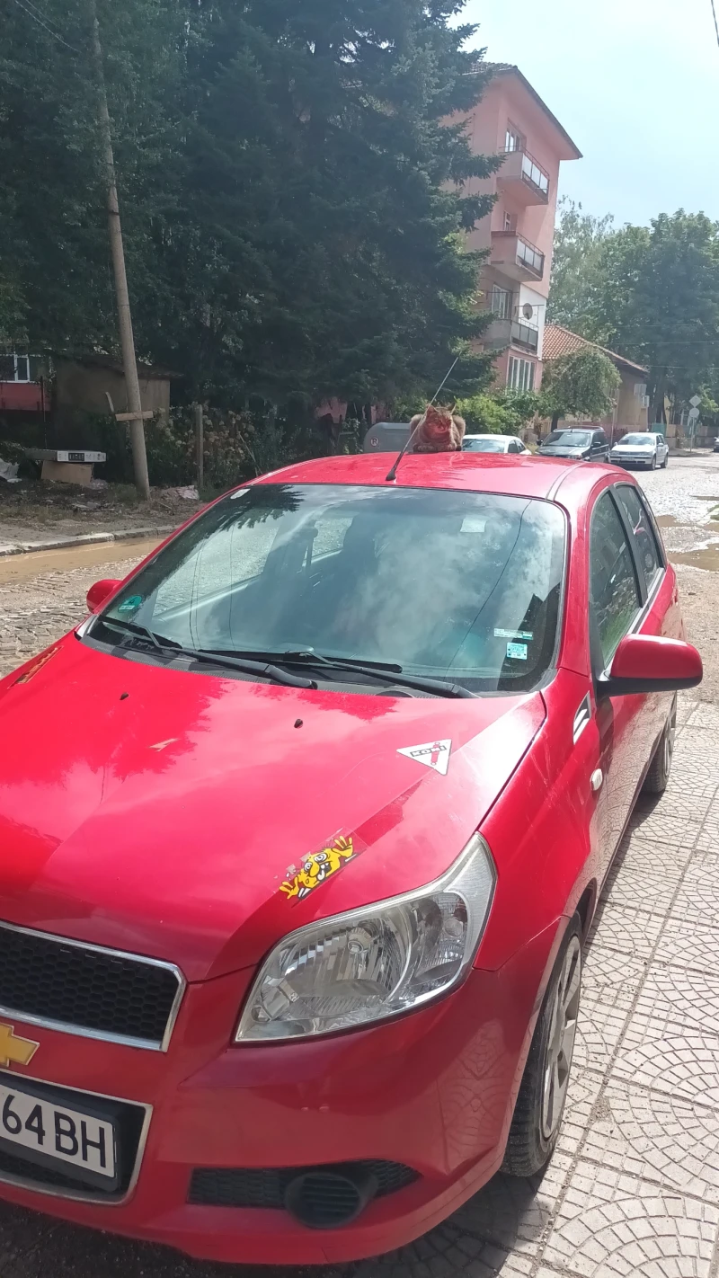 Chevrolet Aveo, снимка 2 - Автомобили и джипове - 47692786