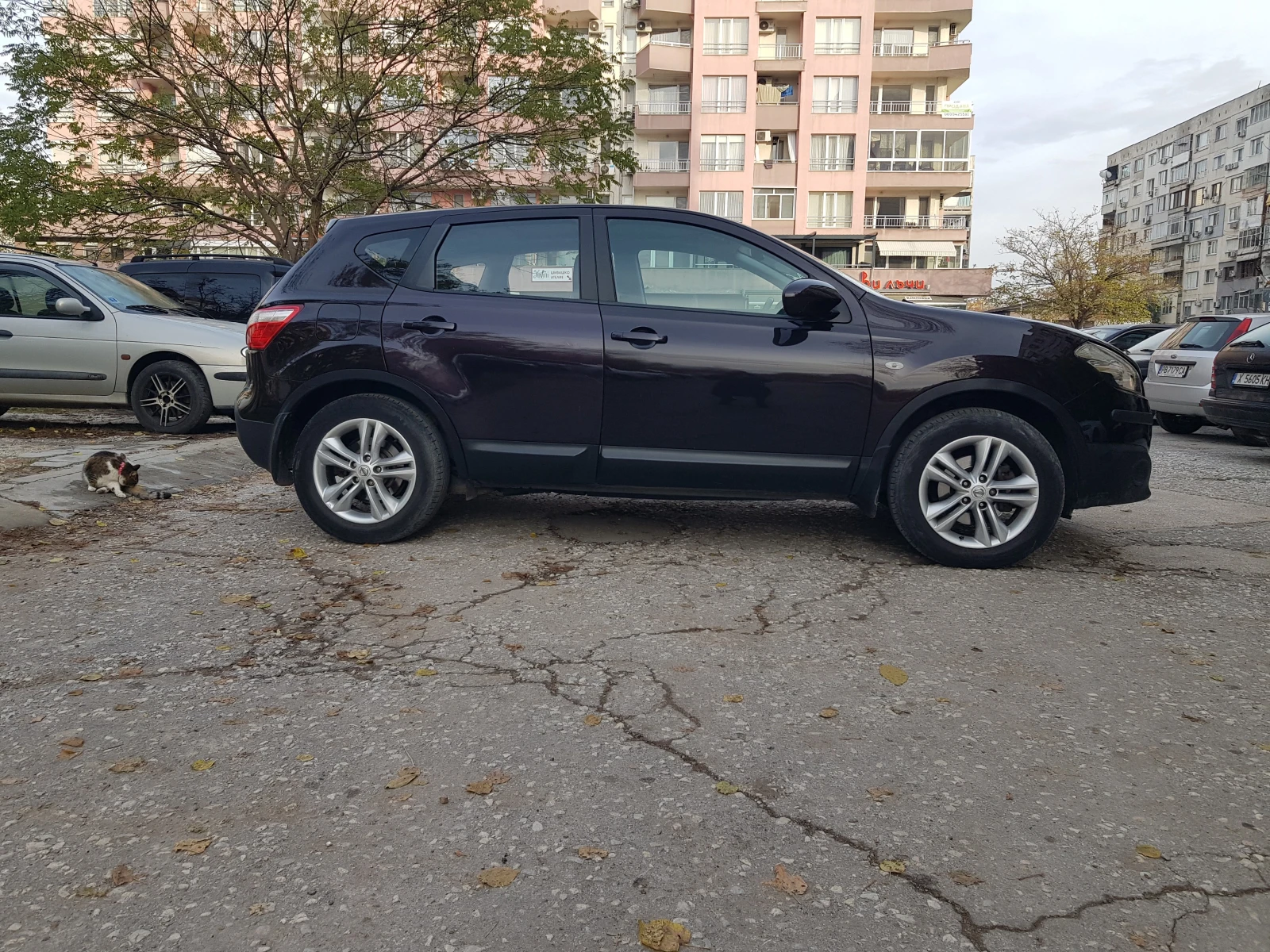 Nissan Qashqai  - изображение 3