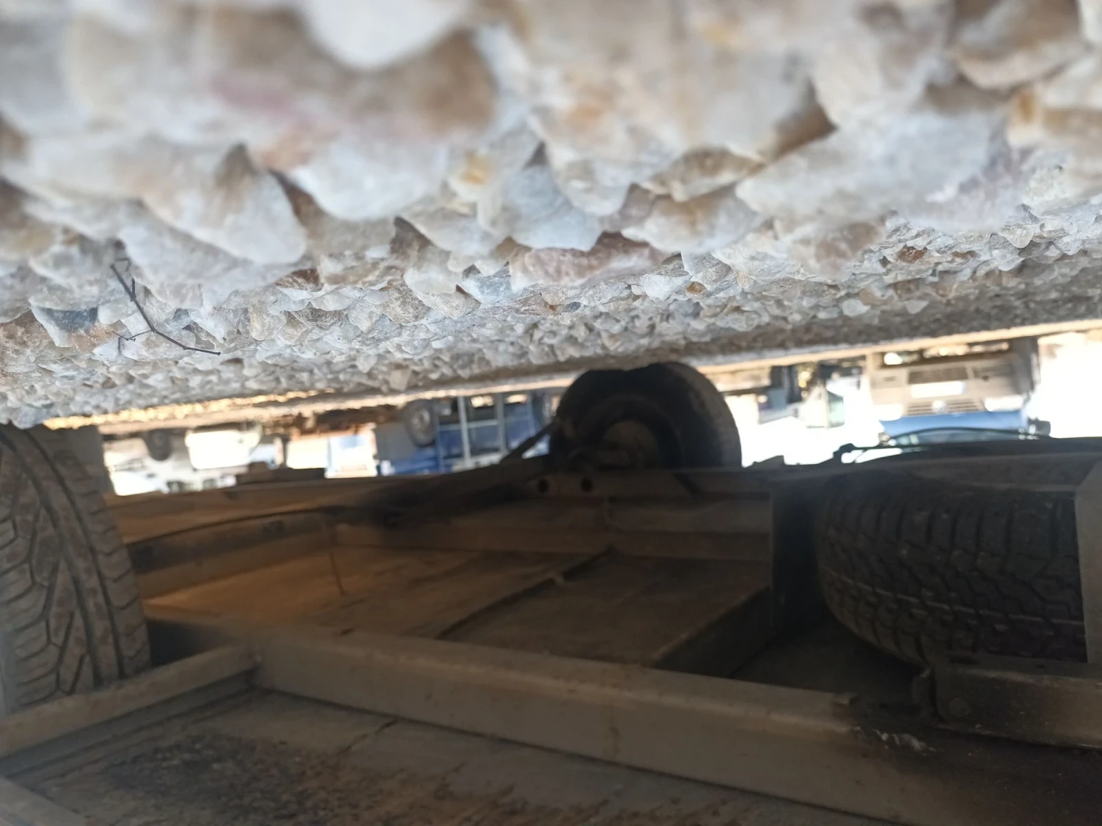 �������� Adria | Mobile.bg � ����������� 16