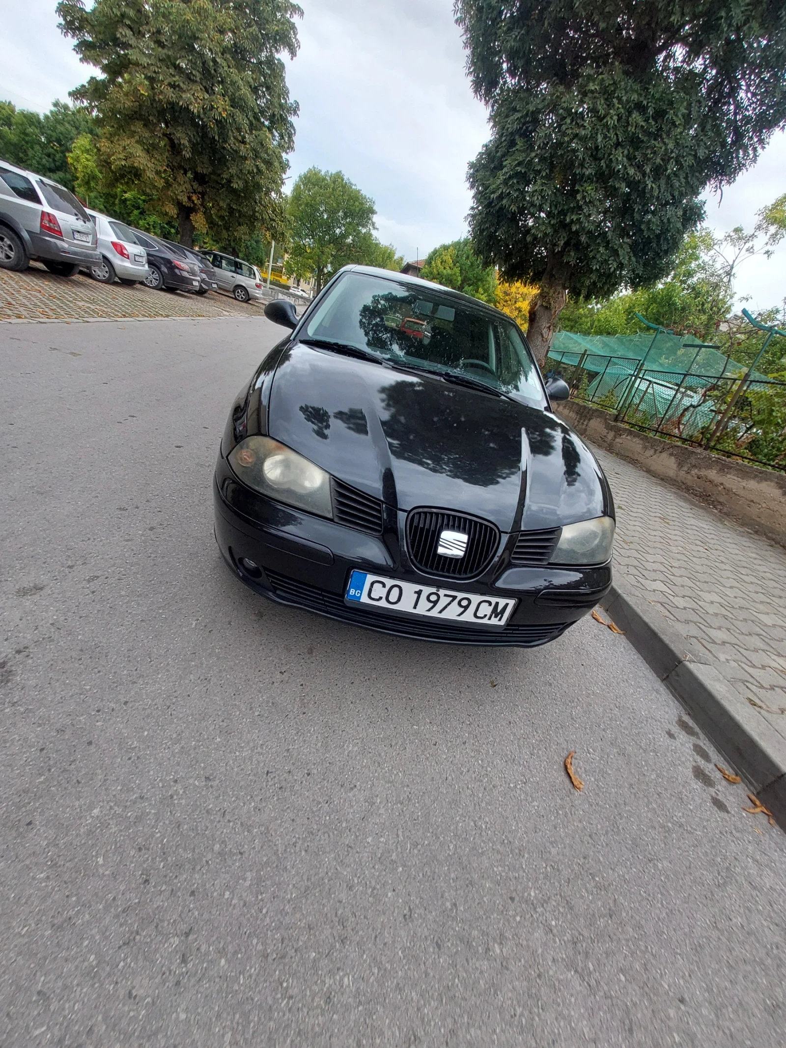 Seat Ibiza, снимка 1
