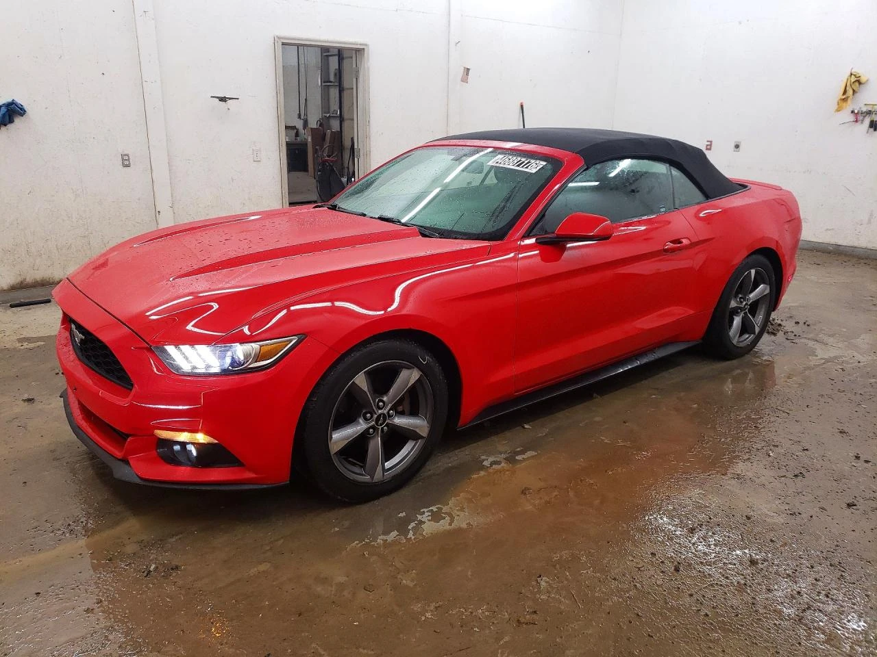 Ford Mustang undefined | Auto.bg — изображение 1