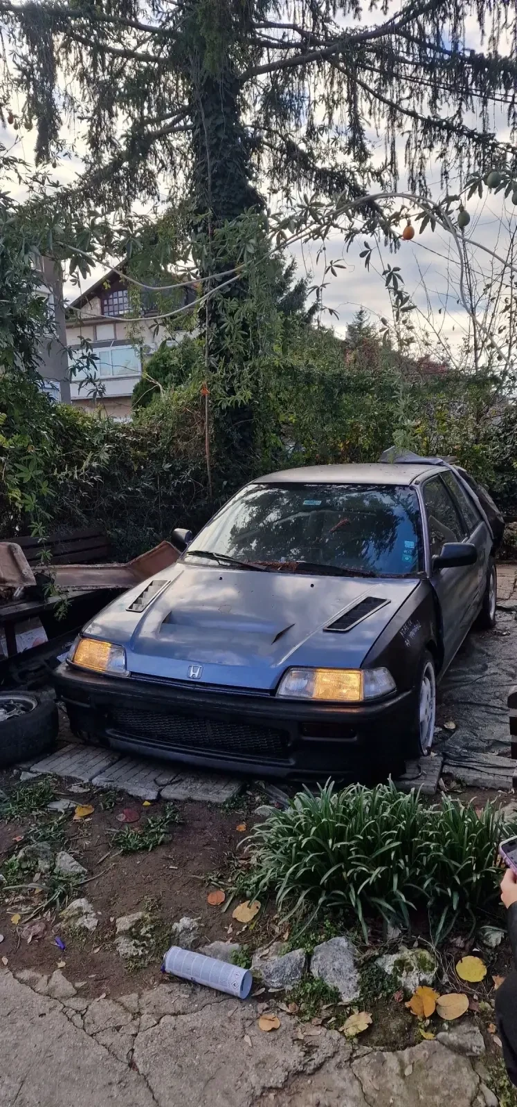 Honda Civic Ef  - изображение 2