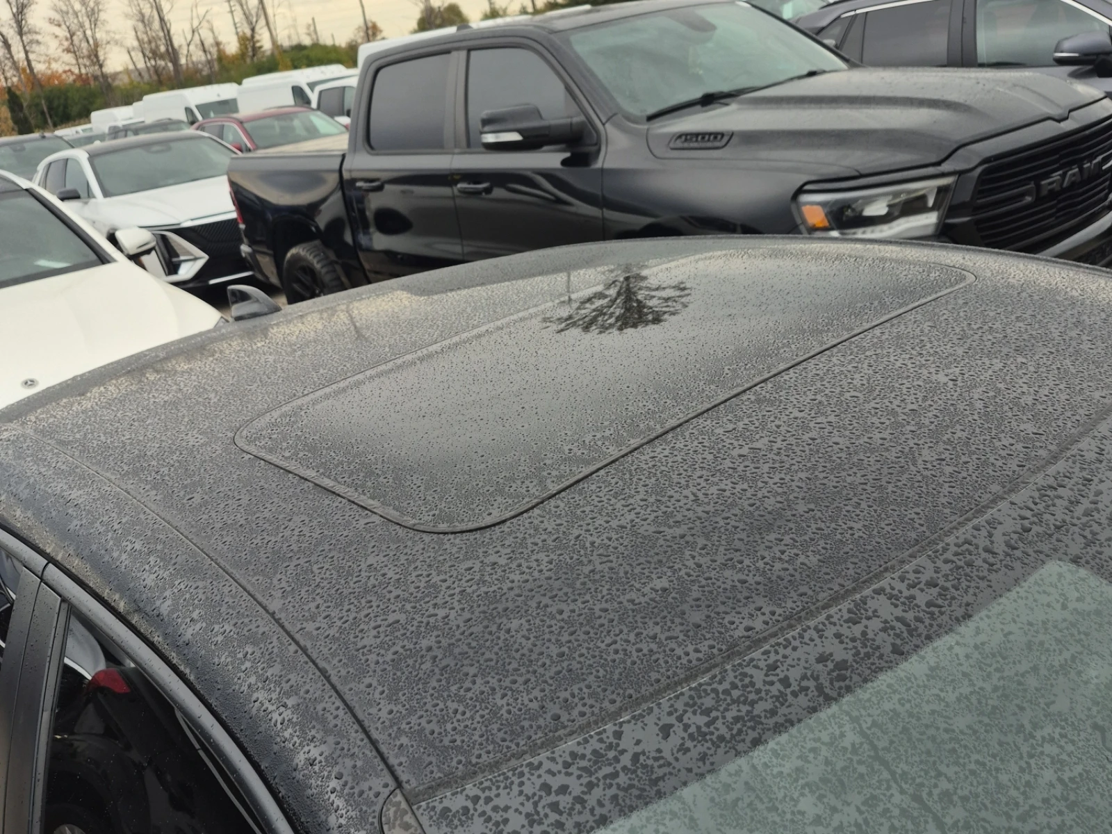 Honda Civic SPORT * CARFAX *    | Mobile.bg   11