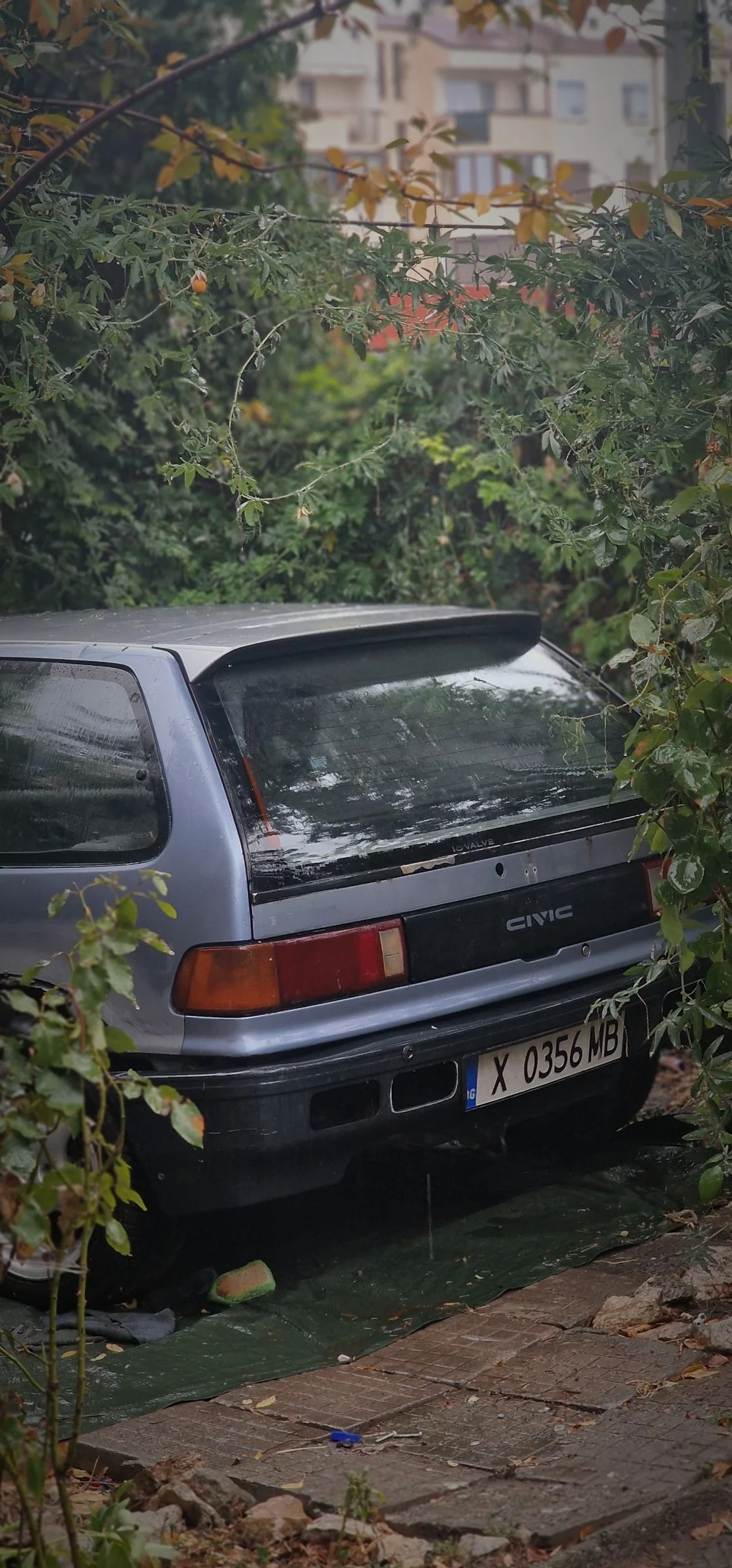 Honda Civic Ef  - изображение 5