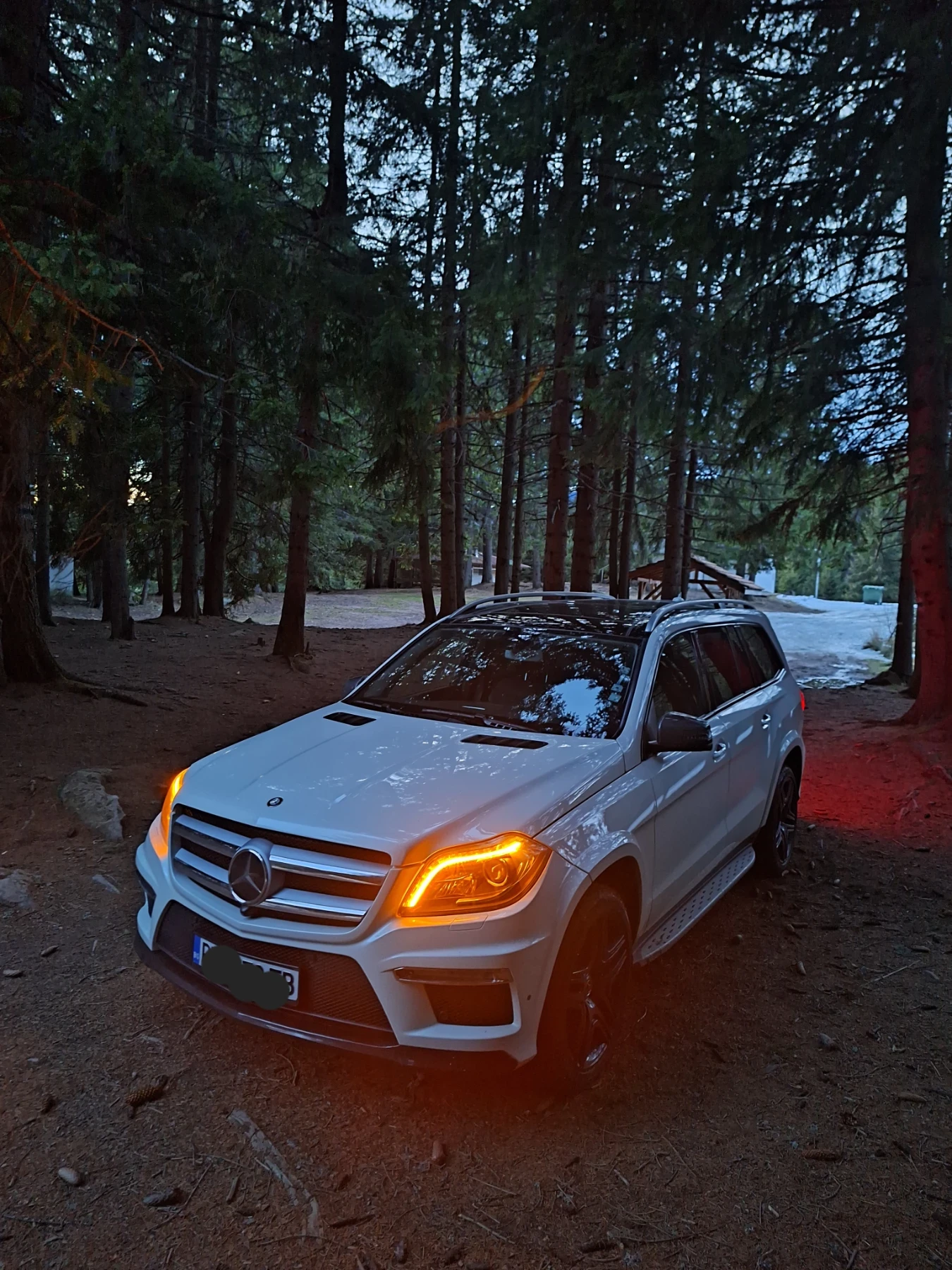 Mercedes-Benz GL AMG 350 BLUETEC - изображение 5