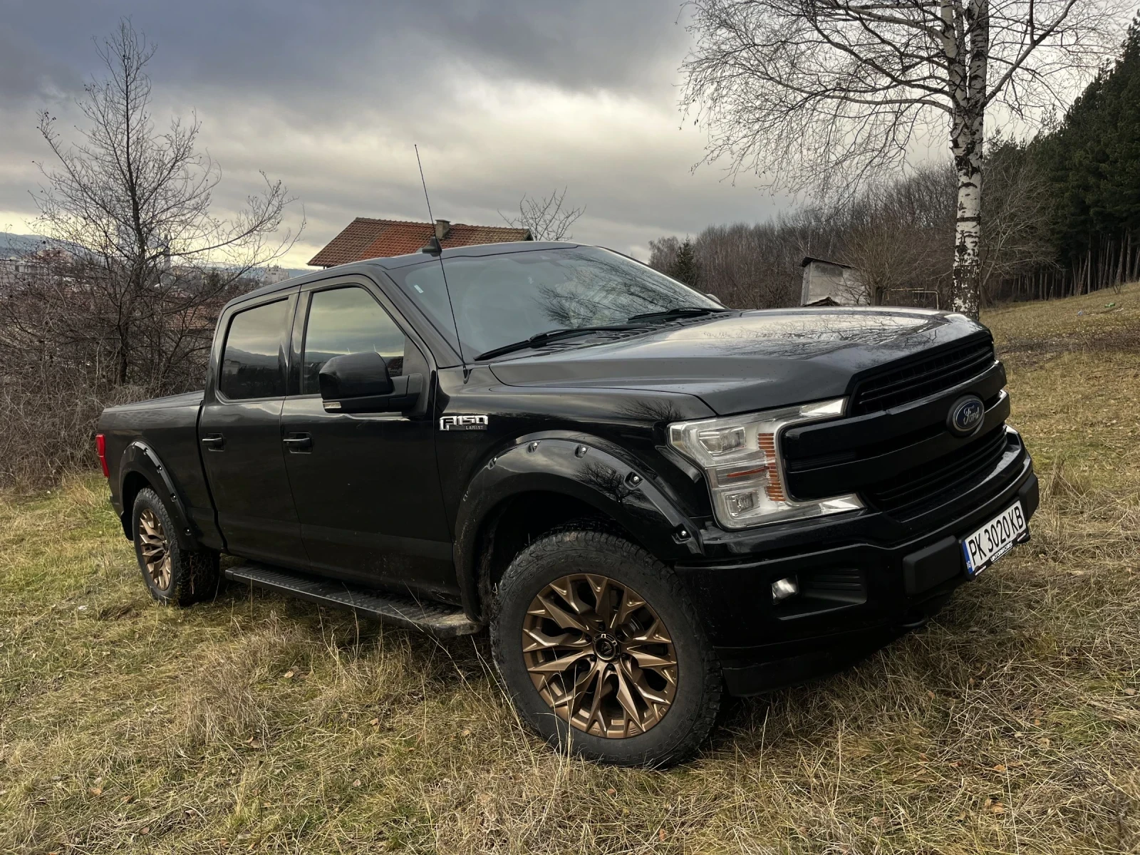 Ford F150 LARIAD | Mobile.bg � ����������� 5