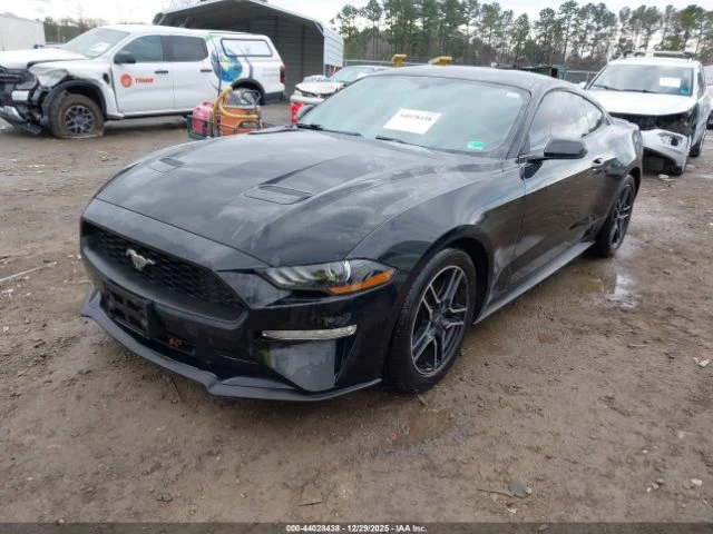 Ford Mustang ECOBOOST FASTBACK