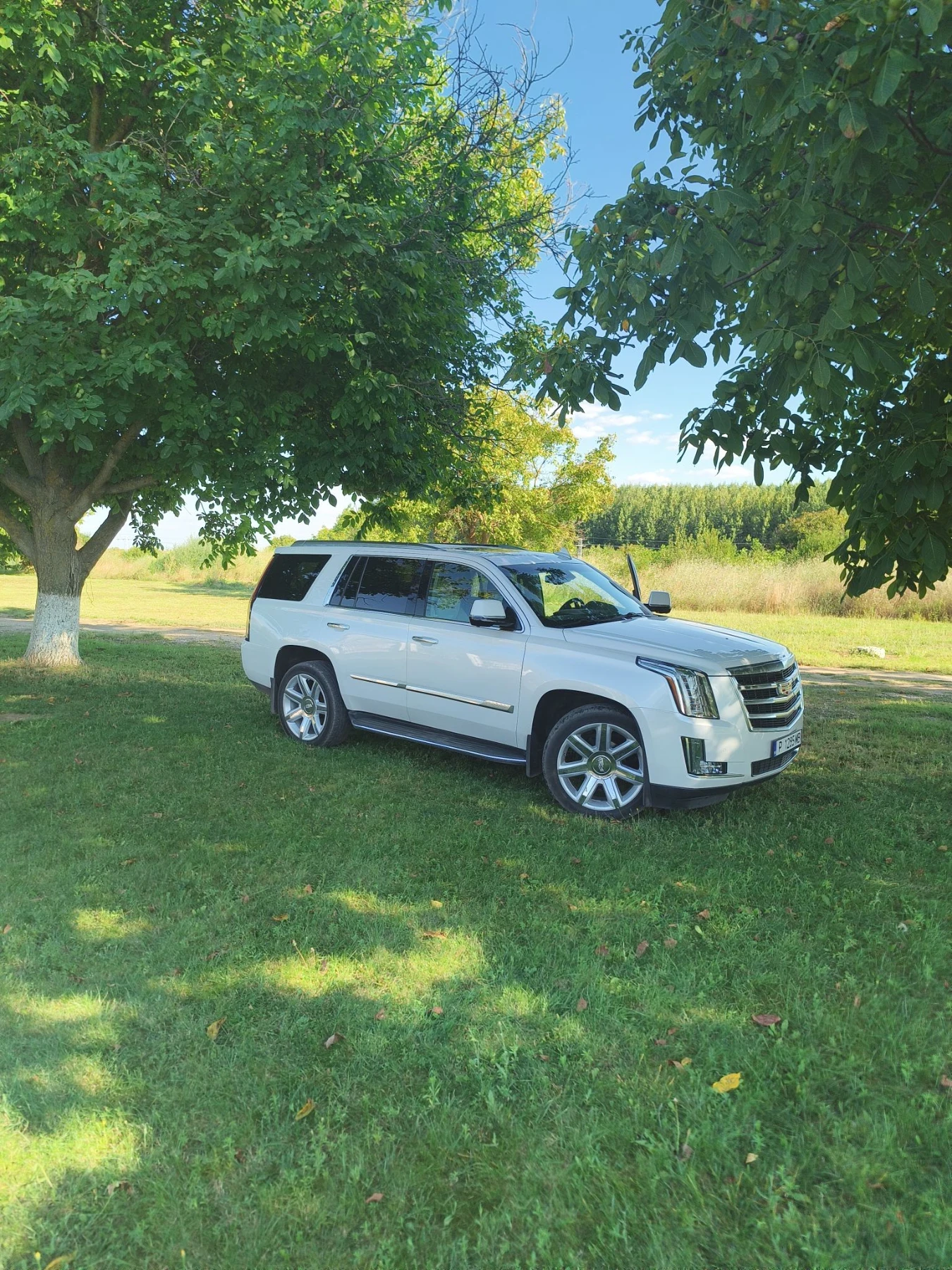 Cadillac Escalade premium-luxury | Mobile.bg � ����������� 13