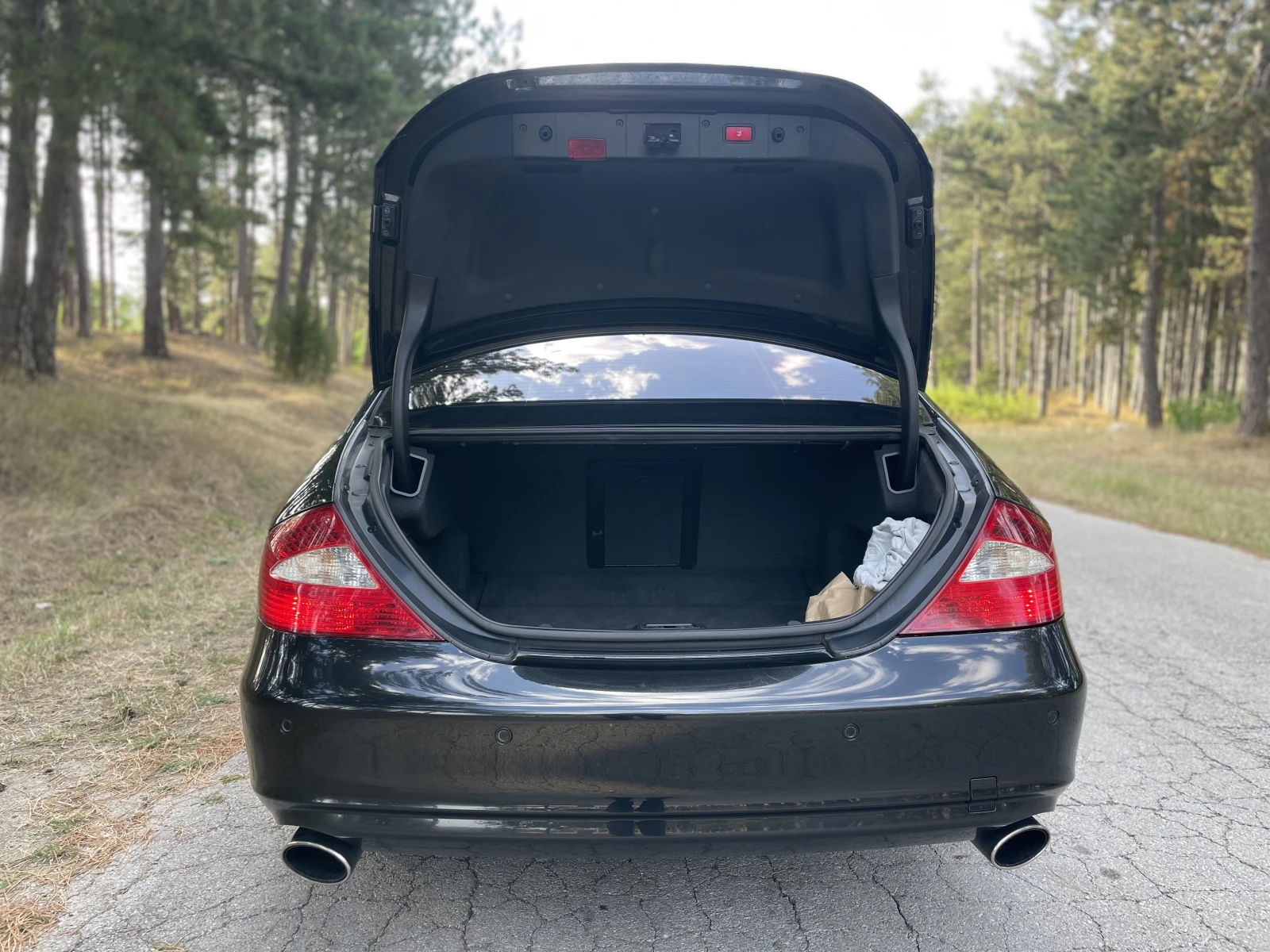 Mercedes-Benz CLS 350 BRC   | Mobile.bg   11