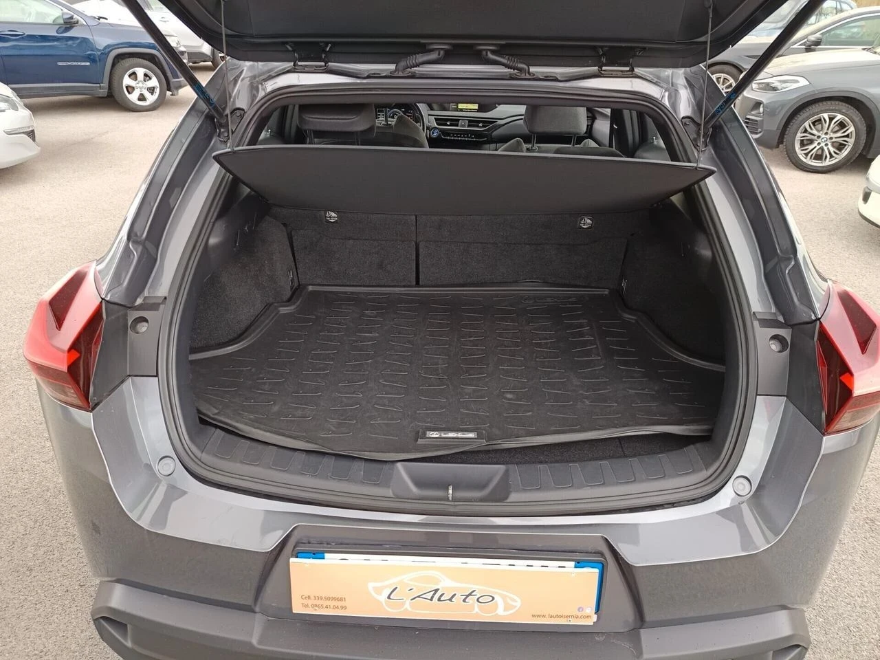 Lexus UX 250h  - изображение 9