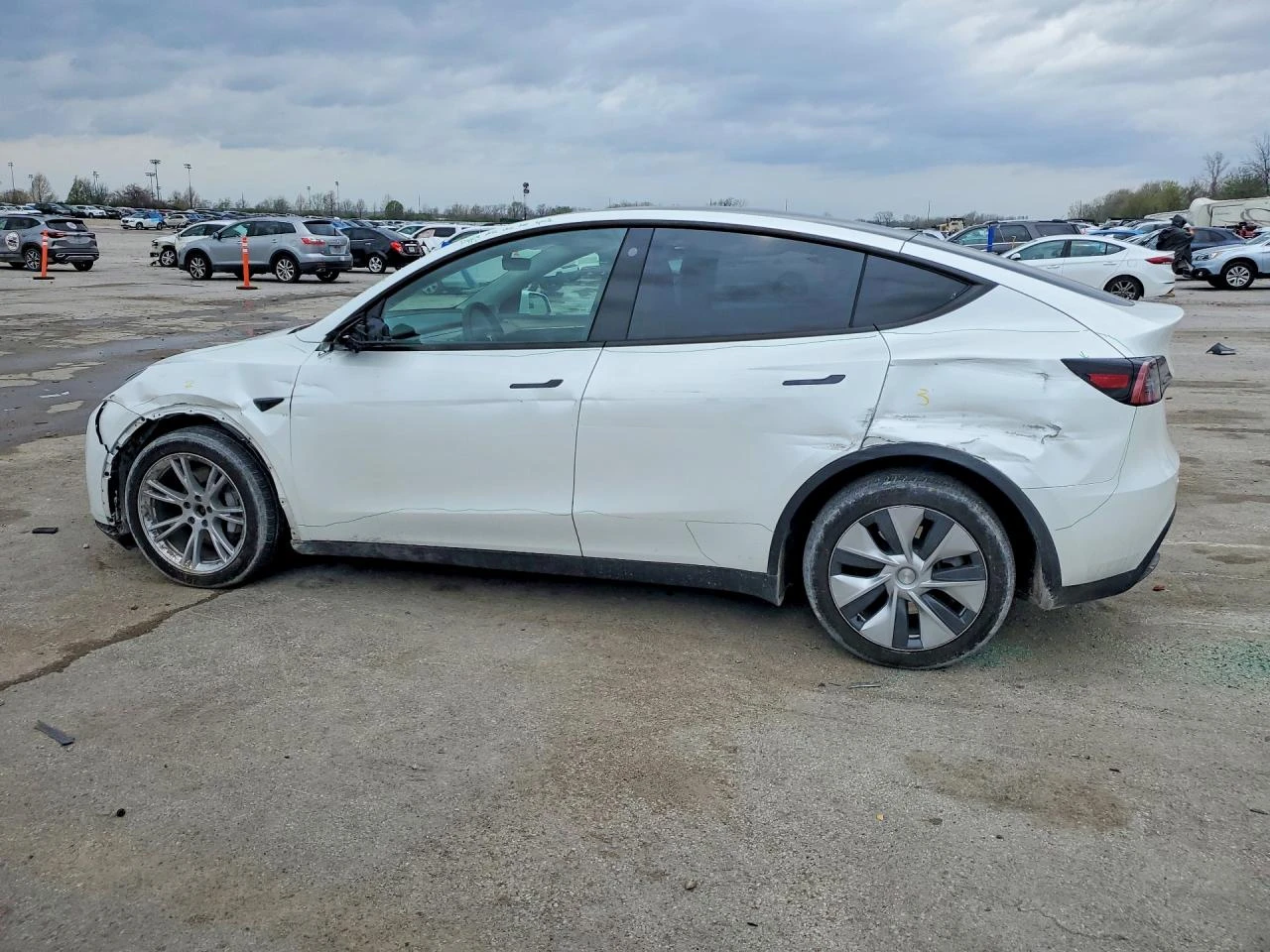 Tesla Model Y | Mobile.bg � ����������� 2