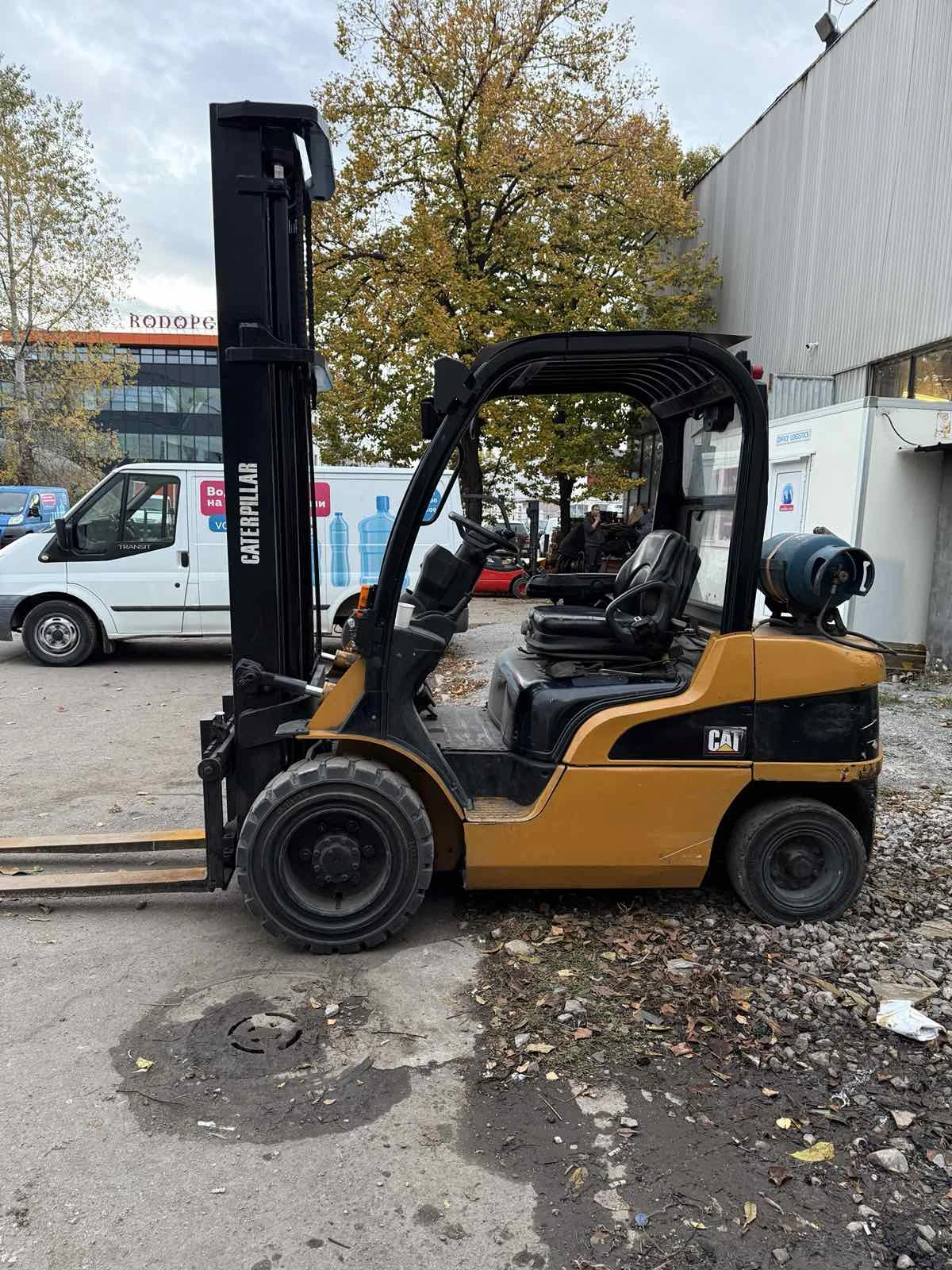  Cat  | Mobile.bg   4