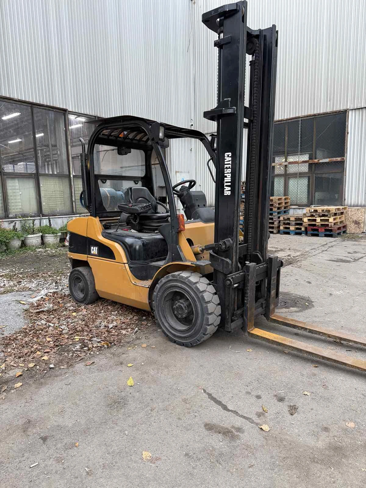  Cat  | Mobile.bg   1