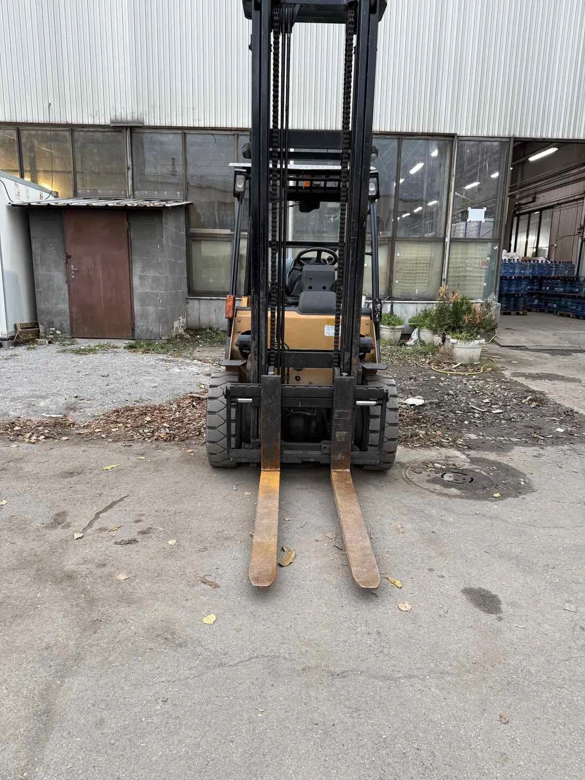  Cat  | Mobile.bg   3