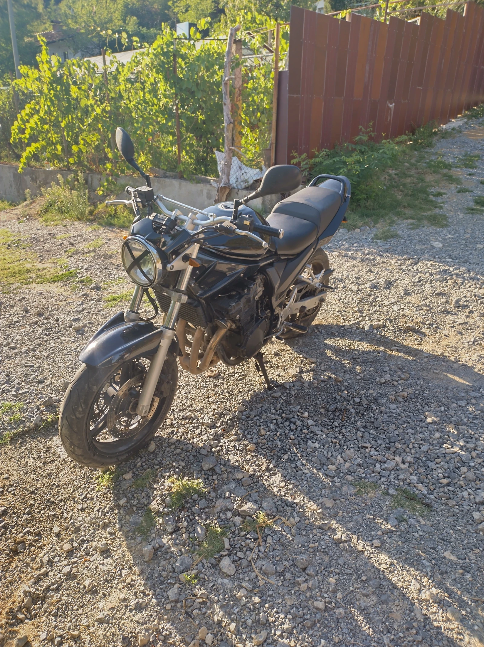 Suzuki Bandit  - изображение 8