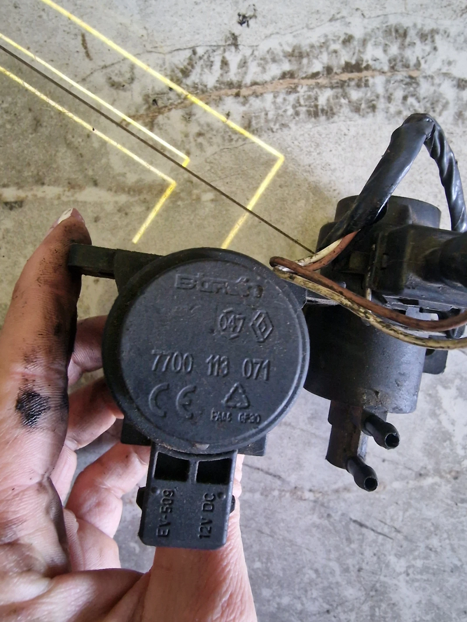 7700113071 ������ ������ �� ����� RENULT  | Mobile.bg � ����������� 2