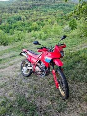 Honda Nx Nx 650 Dominator, снимка 10