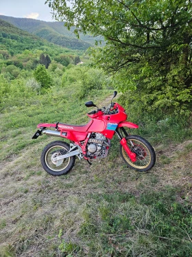 Honda Nx Nx 650 Dominator, снимка 11